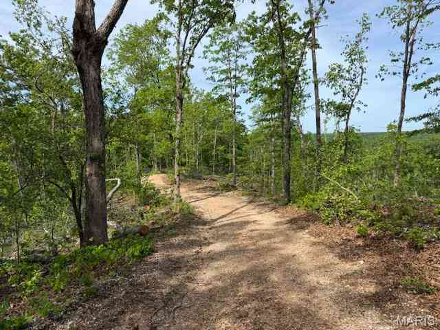 Vacant Land For Sale - TBD County Road 305a<br/> Eminence, MO 65466
