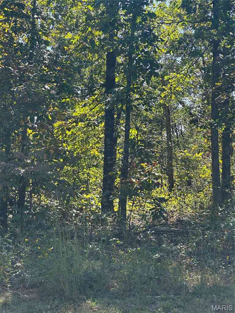 Vacant Land For Sale - TBD 142e-24b<br/> Doniphan, MO 63935