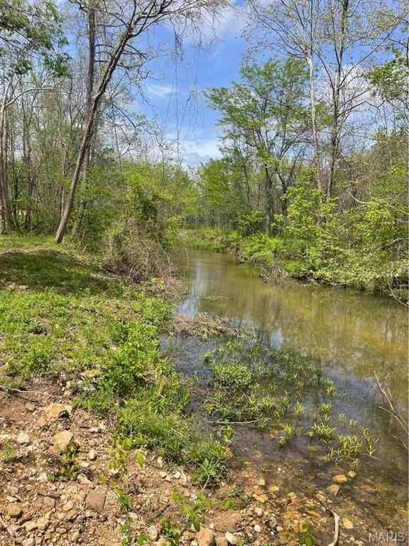 Vacant Land For Sale - 00 County Road 5615 (21.37 Acres)<br/> Bunker, MO 63629