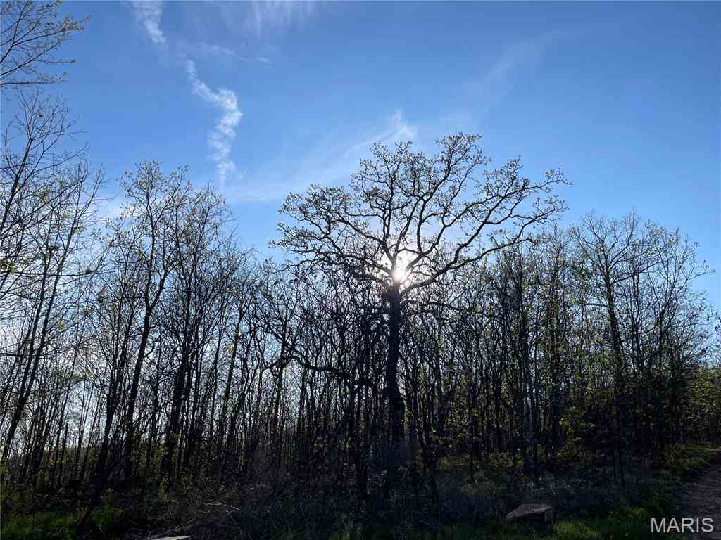 Homes For Sale - 1190 Private Road 349a-5<br/> Wayne County, Piedmont, MO 63957