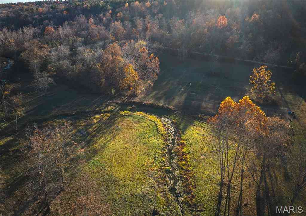 Vacant Land For Sale - 00 County Road 5615 (29.99 Acres)<br/> Bunker, MO 63629
