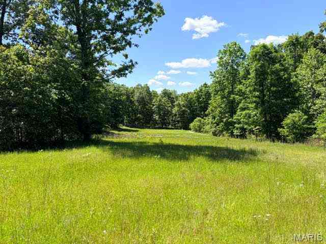 Vacant Land For Sale - 1 Ripley Route V<br/> Doniphan, MO 63935