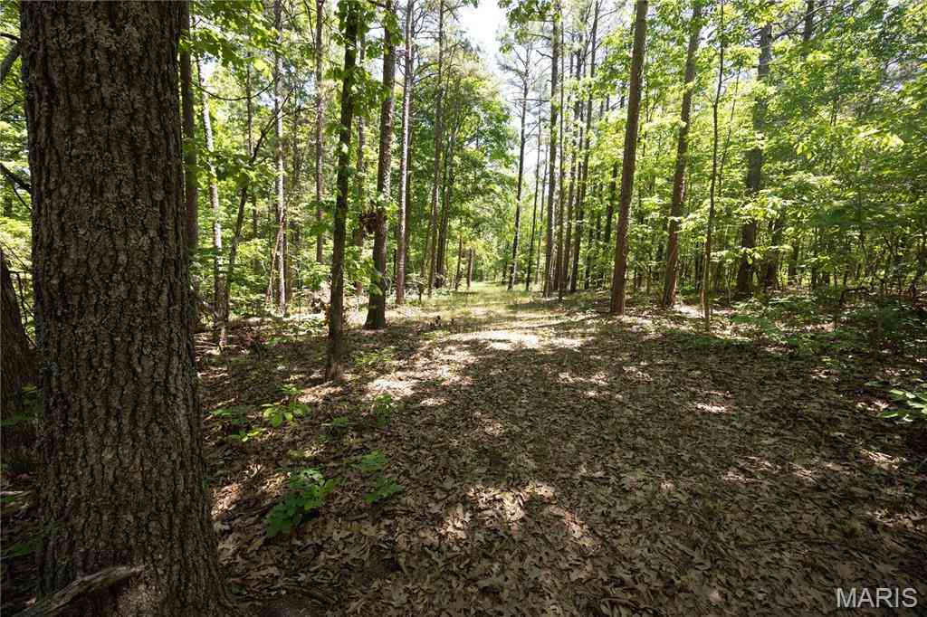 Vacant Land For Sale - TRACT 4 Bcr 930<br/> Patton, MO 63662