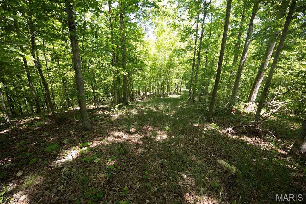Vacant Land For Sale - TRACT 5 Bcr 930<br/> Patton, MO 63662