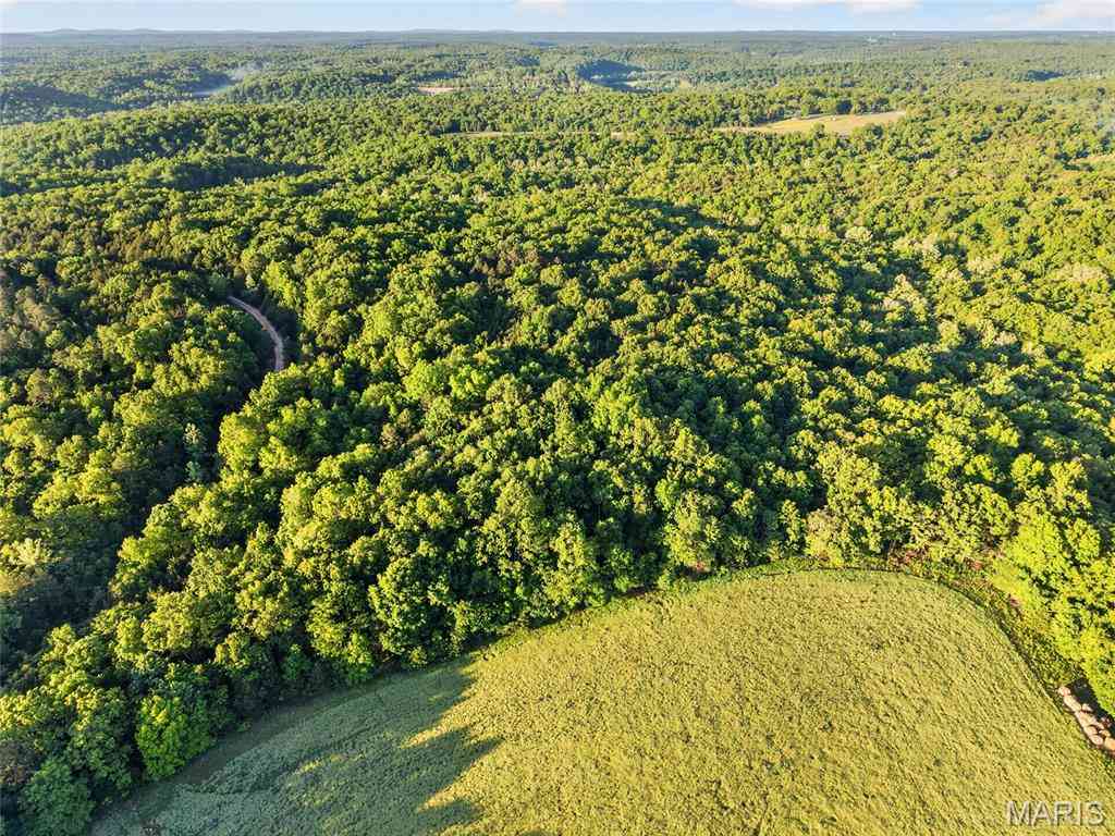 Vacant Land For Sale - 001 Blackwell Heights Road<br/> Blackwell, MO 63626