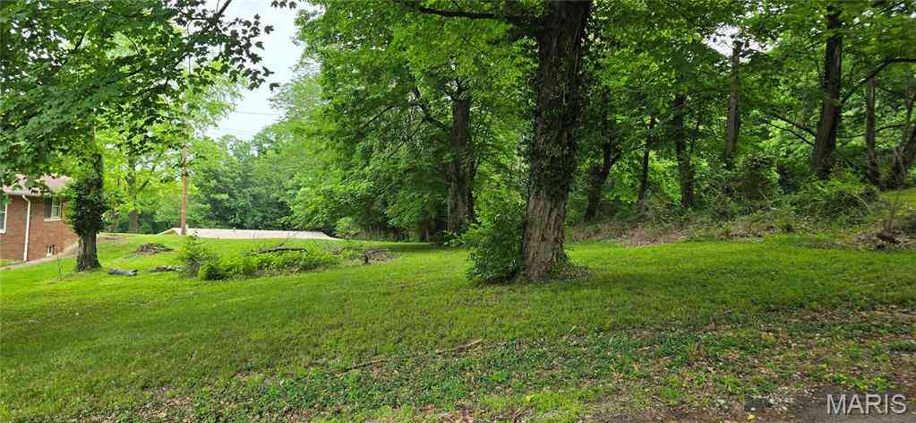 Vacant Land For Sale - Bluff Drive<br/> Saint Clair County, Belleville, IL 62223