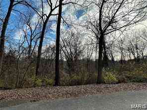 Vacant Land For Sale - N 82nd Street<br/> Saint Clair County, Belleville, IL 62223