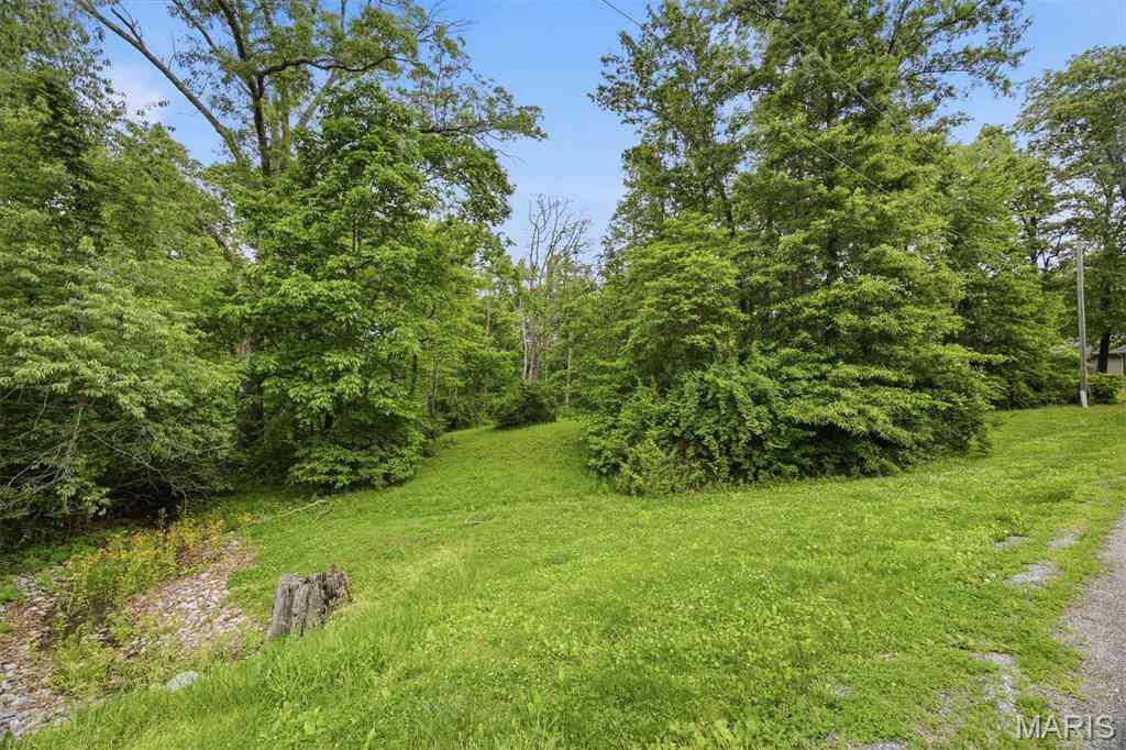 Vacant Land For Sale - XXX Joseph Drive<br/> Bond County, Pocahontas, IL 62275