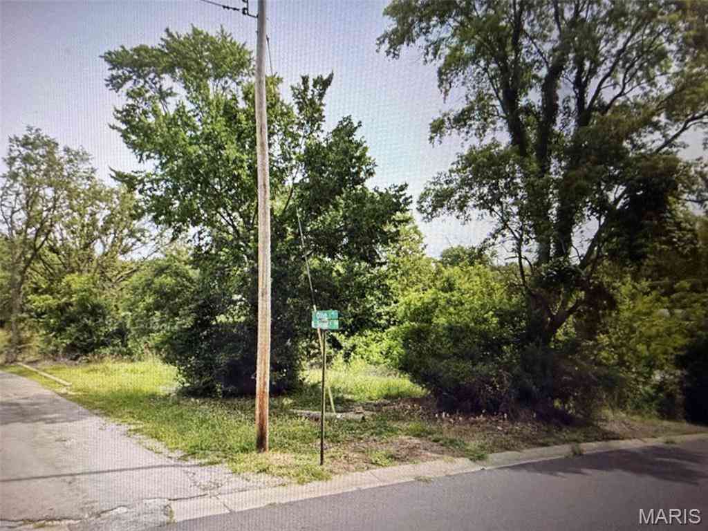 Vacant Land For Sale - 1516 N Main Street<br/> De Soto, MO 63020