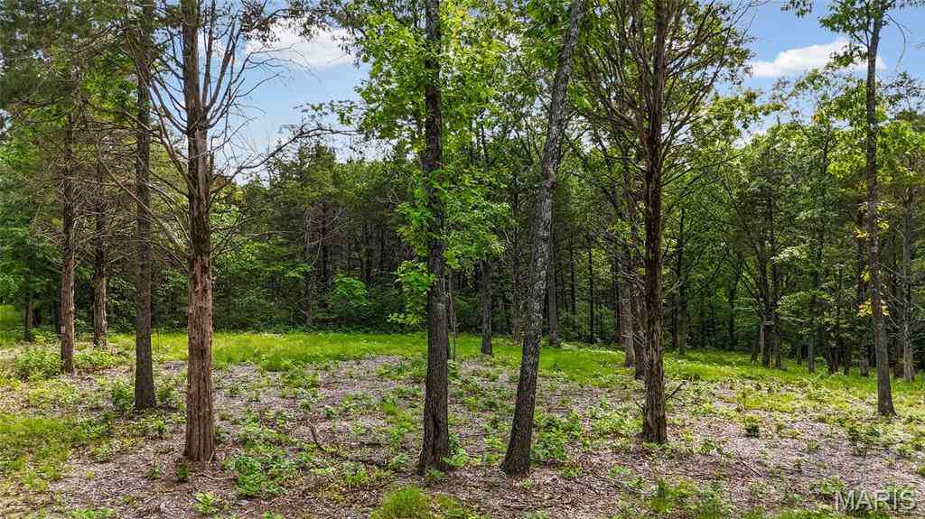 Vacant Land For Sale - 299 Whitetail Ridge<br/> Dittmer, MO 63023