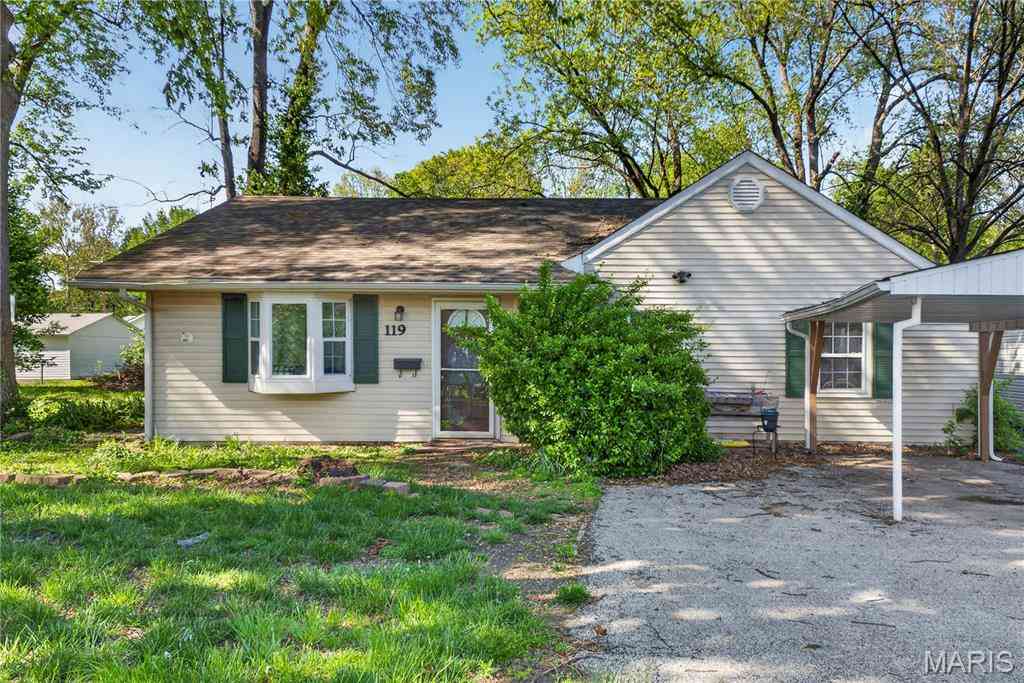 Homes For Sale - 119 S 37th Street<br/> Saint Clair County, Belleville, IL 62226