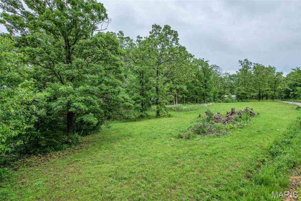 Vacant Land For Sale - 103 Handley Road<br/> Dallas County, Conway, MO 65632
