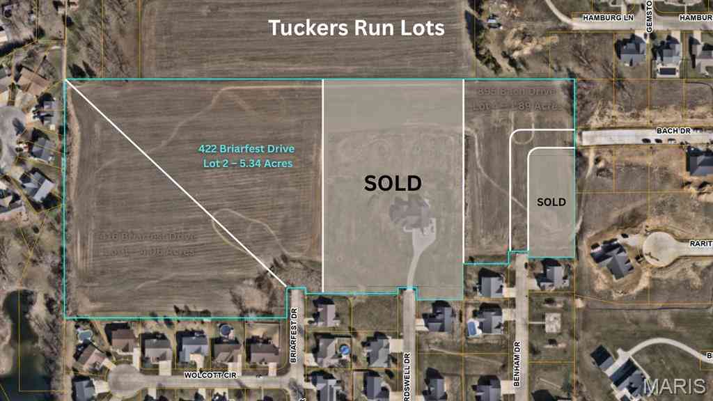 Vacant Land For Sale - 422 Briarfest Drive<br/> Saint Clair County, Millstadt, IL 62260
