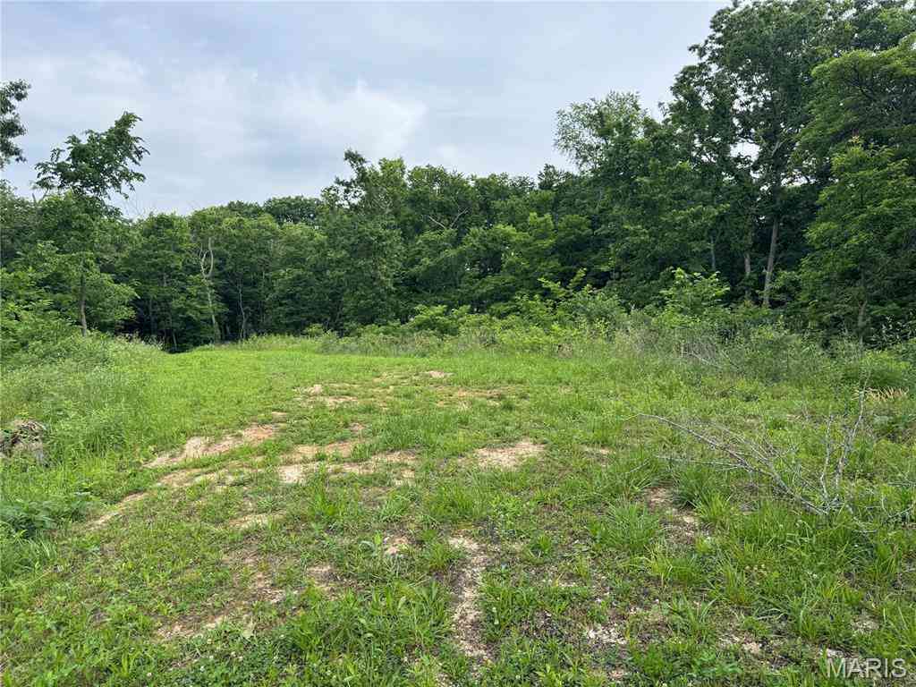 Vacant Land For Sale - TBD Panama Avenue<br/> Bond County, Panama, IL 62077