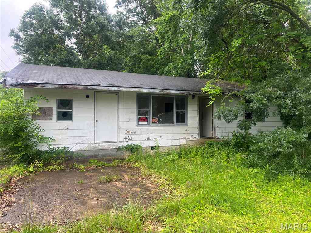 Homes For Sale - Bud Avenue<br/> Wayne County, Piedmont, MO 63957