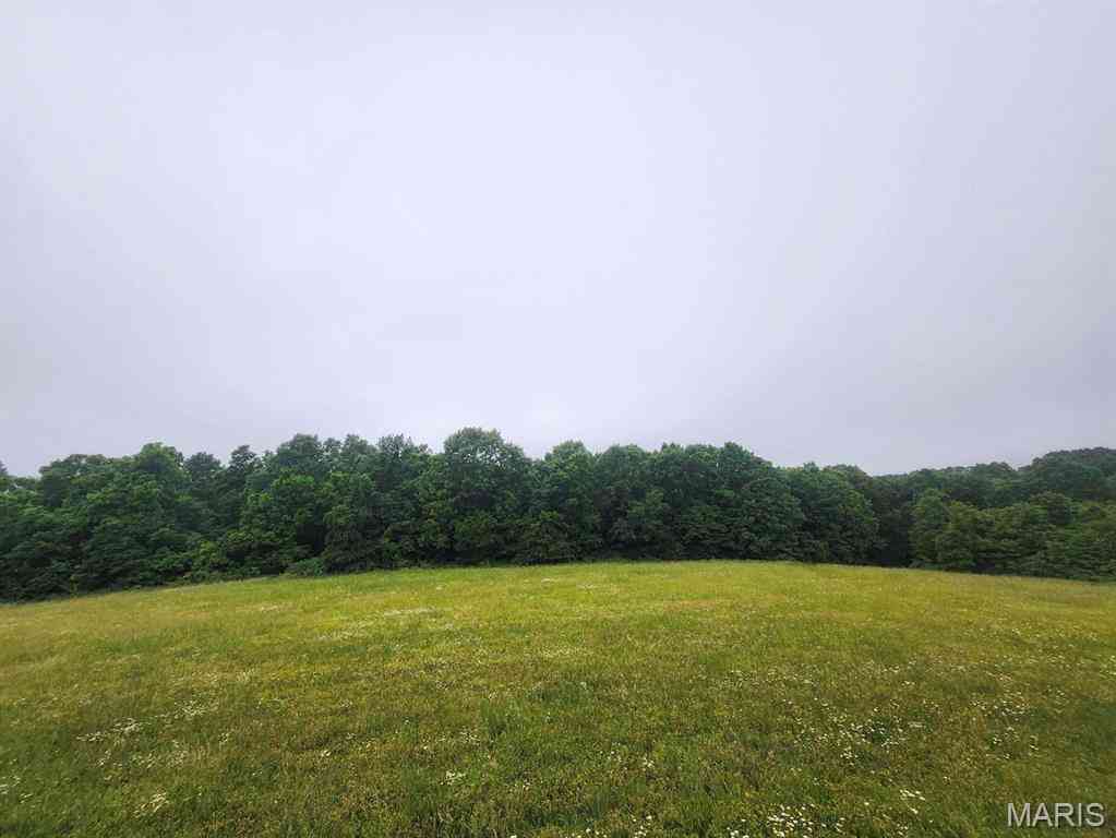 Vacant Land For Sale - 5853 M- Missouri 5<br/> Wright County, Hartville, MO 65667