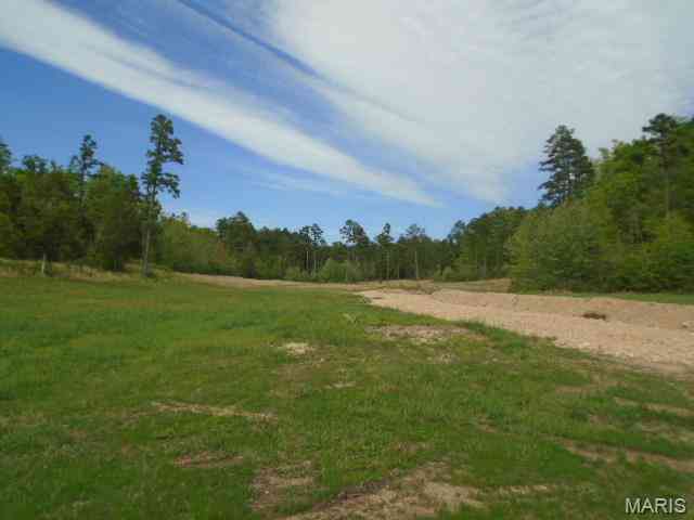 Vacant Land For Sale - 240 County Road 135<br/> Annapolis, MO 63620