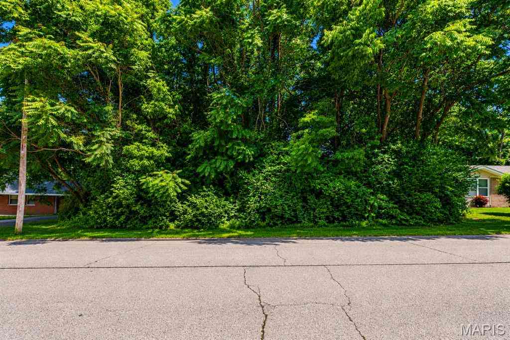 Vacant Land For Sale - Montclair<br/> Saint Clair County, Fairview Heights, IL 62208