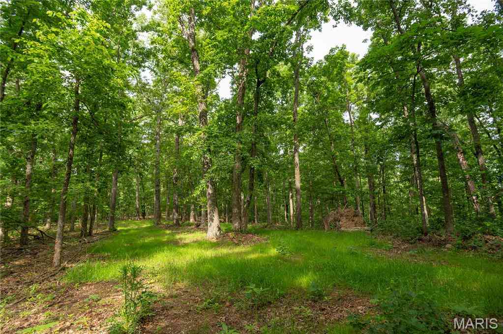 Vacant Land For Sale - TBD Wayne<br/> Wayne County, Piedmont, MO 63957