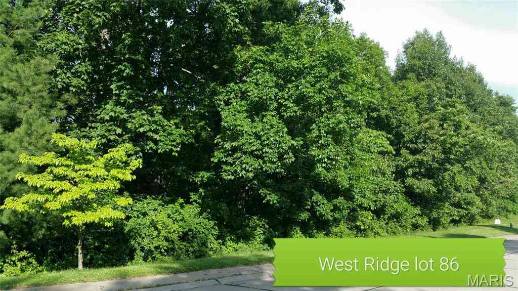 Vacant Land For Sale - 897 Grafton Hills Drive<br/> Grafton, IL 62037