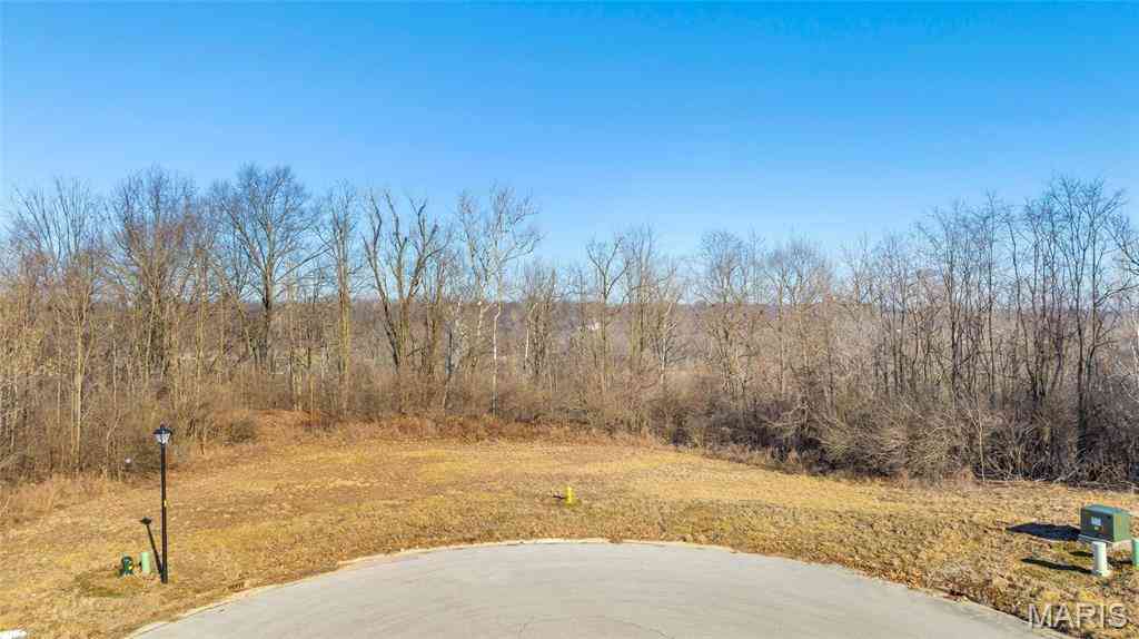 Vacant Land For Sale - 8038 Tahoe Ridge<br/> Caseyville, IL 62232