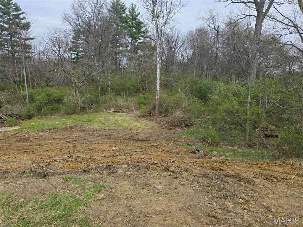 Vacant Land For Sale - 3943 Torch Club Road<br/> Alton, IL 62002