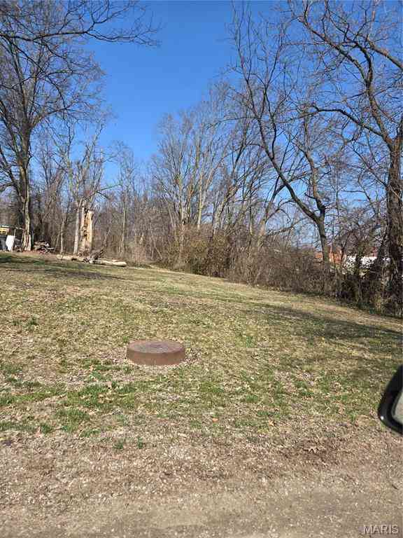 Vacant Land For Sale - 650 Sarah Street<br/> Livingston, IL 62058
