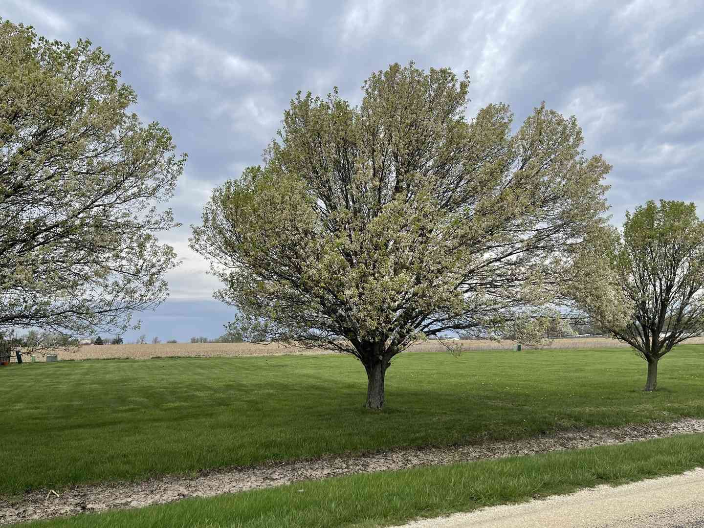 Vacant Land For Sale - LOT 6 S 16000 W Road<br/> Buckingham, IL 60917