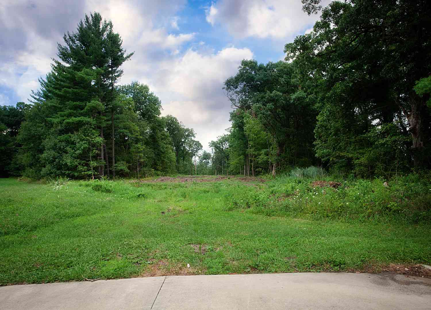 Vacant Land For Sale - 16611 Noble Lane<br/> Lowell, IN 46356