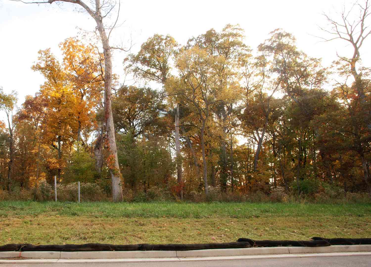 Vacant Land For Sale - 16655 Noble Lane<br/> Lowell, IN 46356