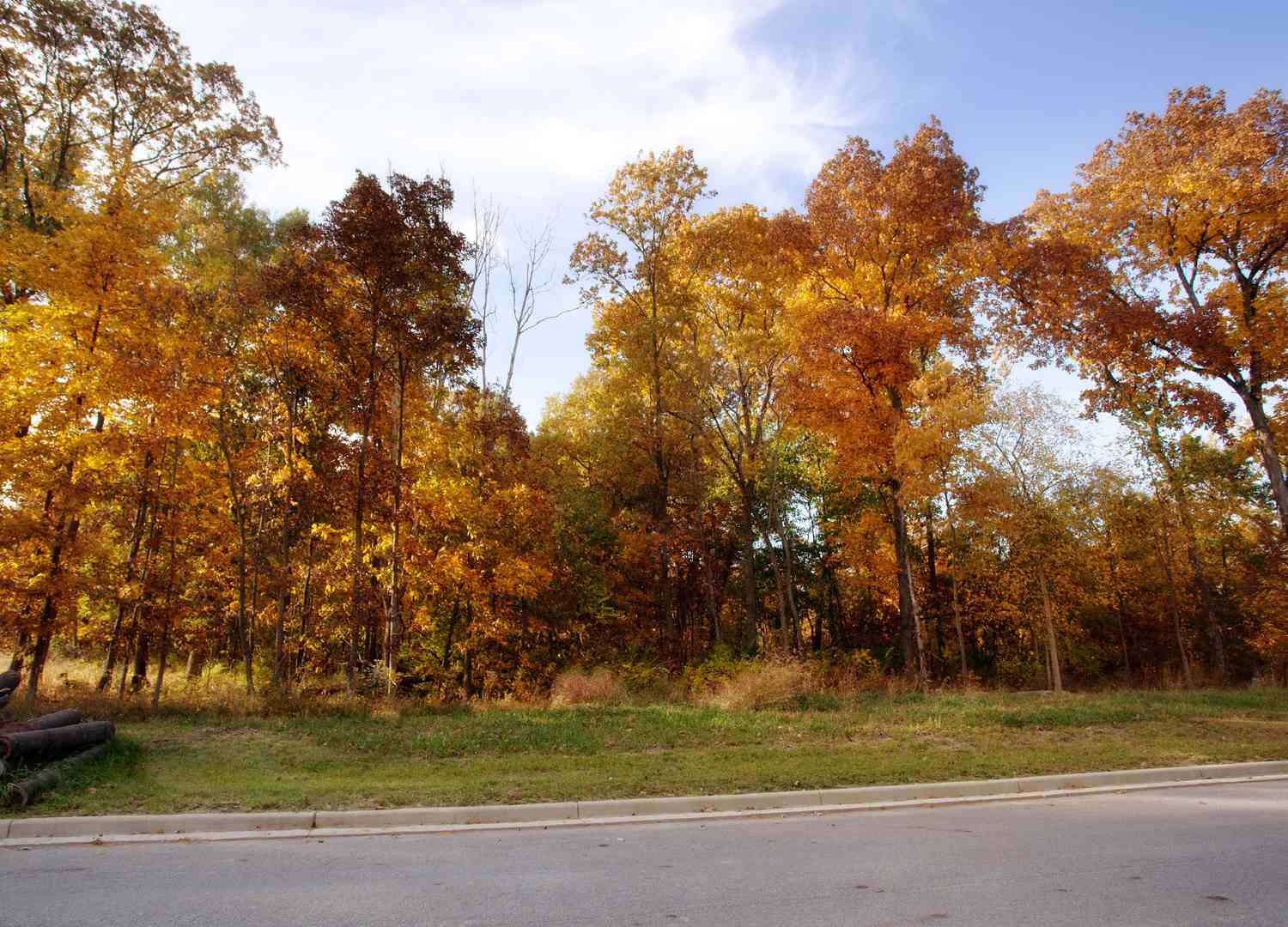 Vacant Land For Sale - 3865 166th Lane<br/> Lowell, IN 46356