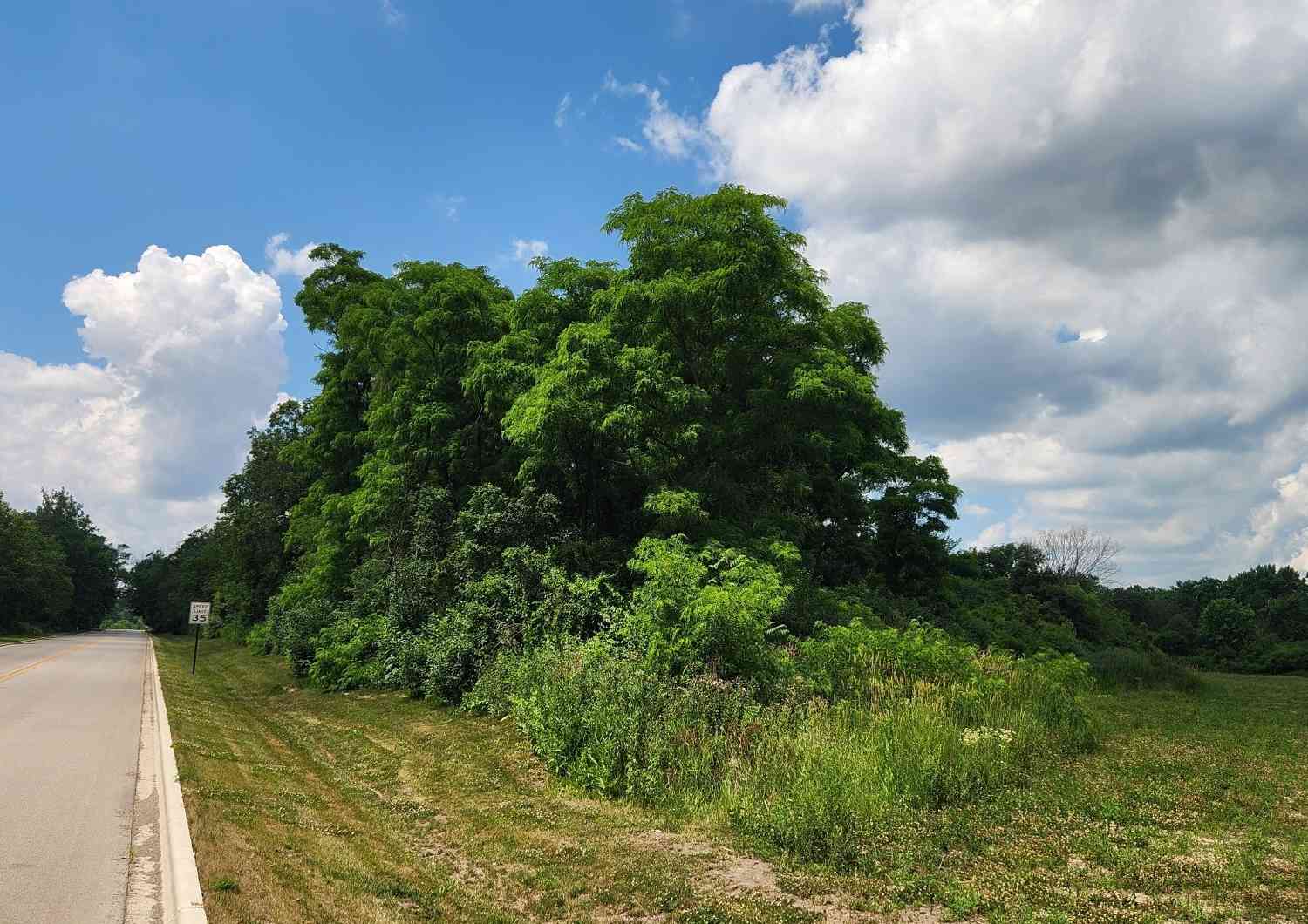 Vacant Land For Sale - Crete Road<br/> Crete, IL 60417