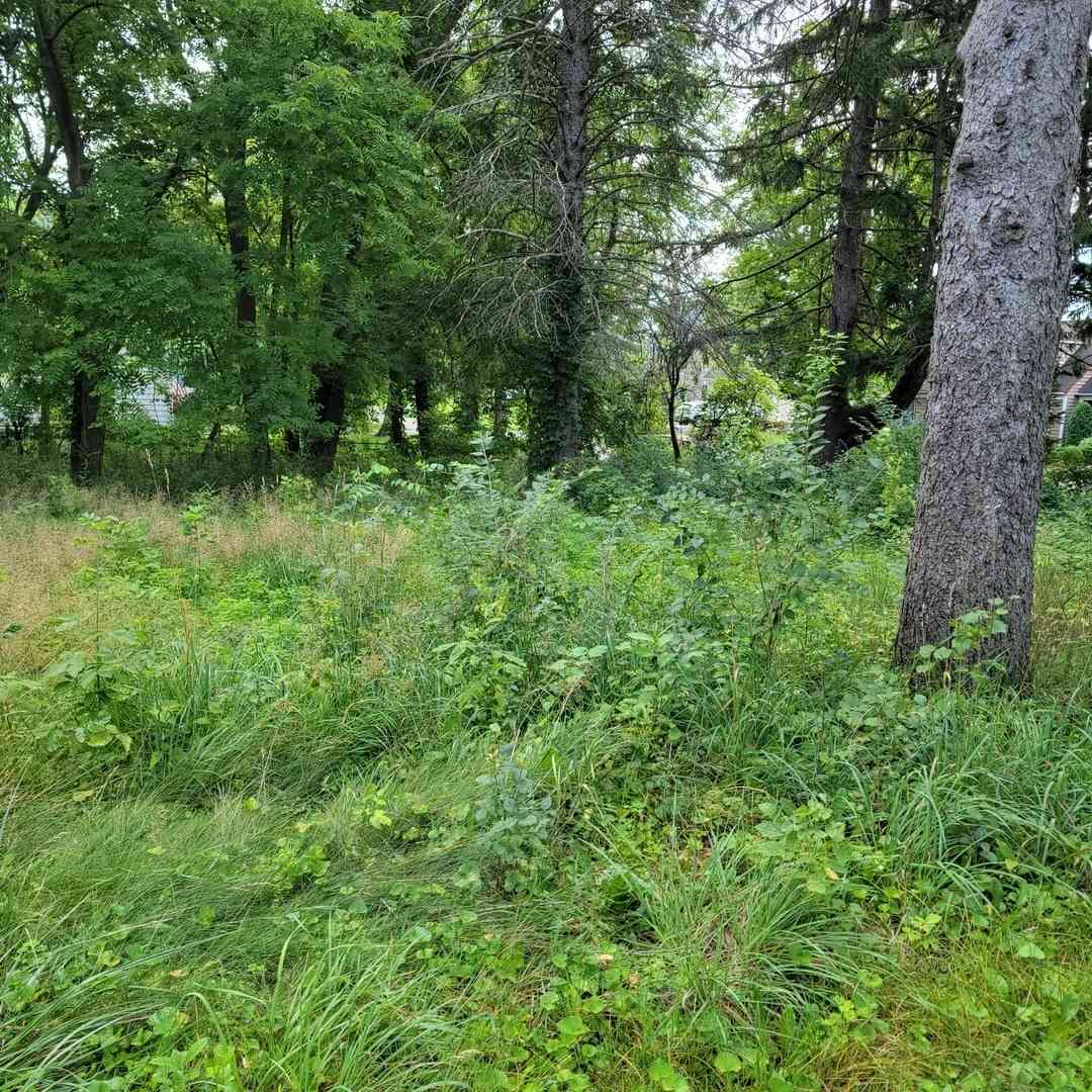 Vacant Land For Sale - 25570 W High Street<br/> Wauconda, IL 60084