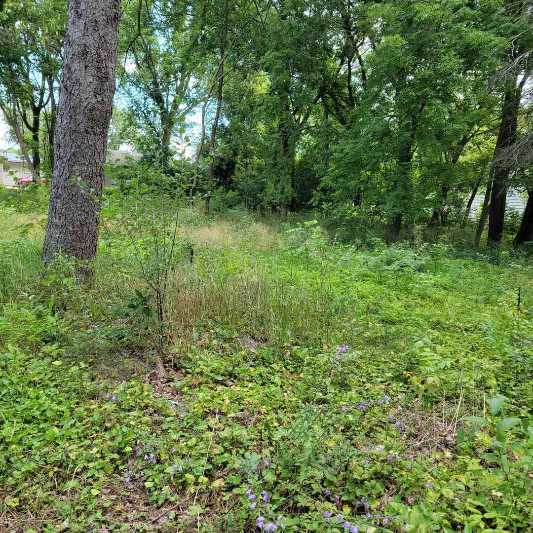 Vacant Land For Sale - 25578 W High Street<br/> Wauconda, IL 60084