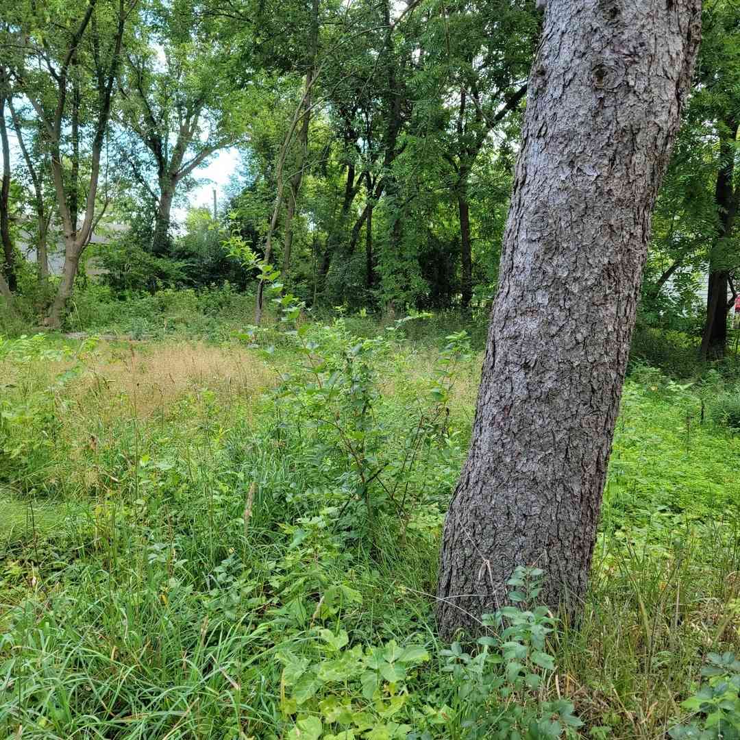 Vacant Land For Sale - 25586 W High Street<br/> Wauconda, IL 60084