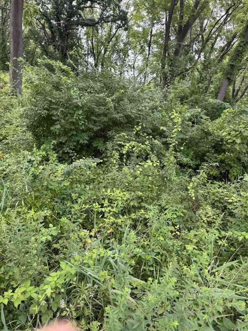 Vacant Land For Sale - 10 Chateau Drive<br/> Kane County, West Dundee, IL 60118