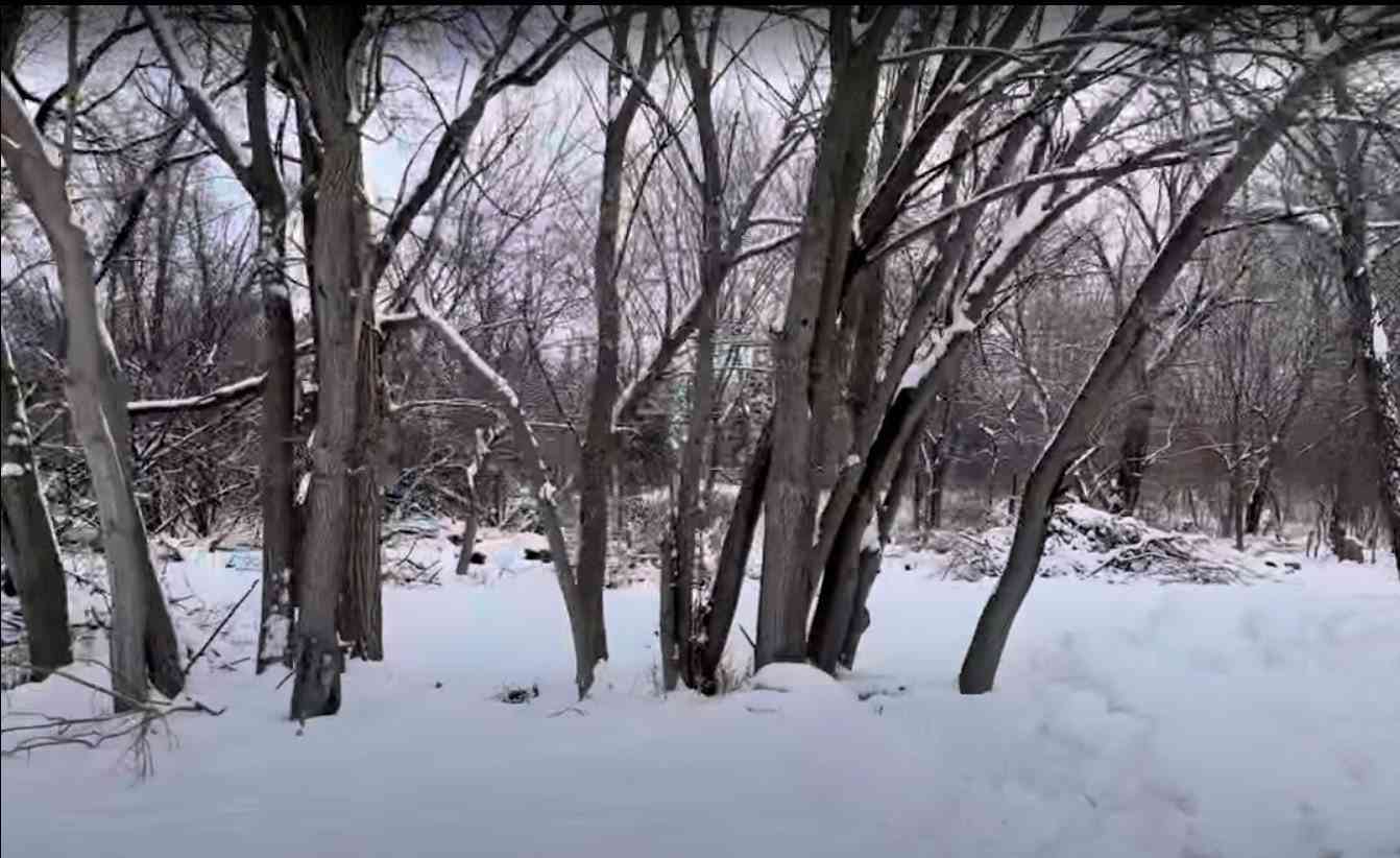 Vacant Land For Sale - VACANT Heiden Avenue<br/> Crest Hill, IL 60403