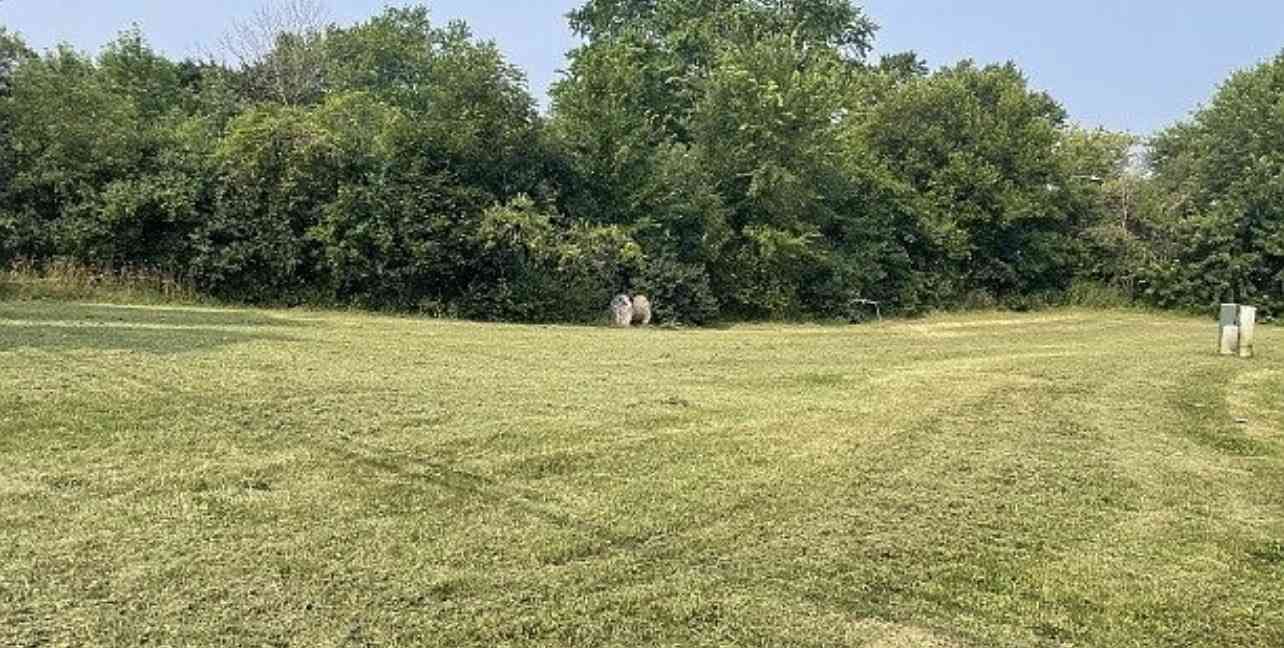 Vacant Land For Sale - 226 Bluff Court<br/> Grayslake, IL 60030