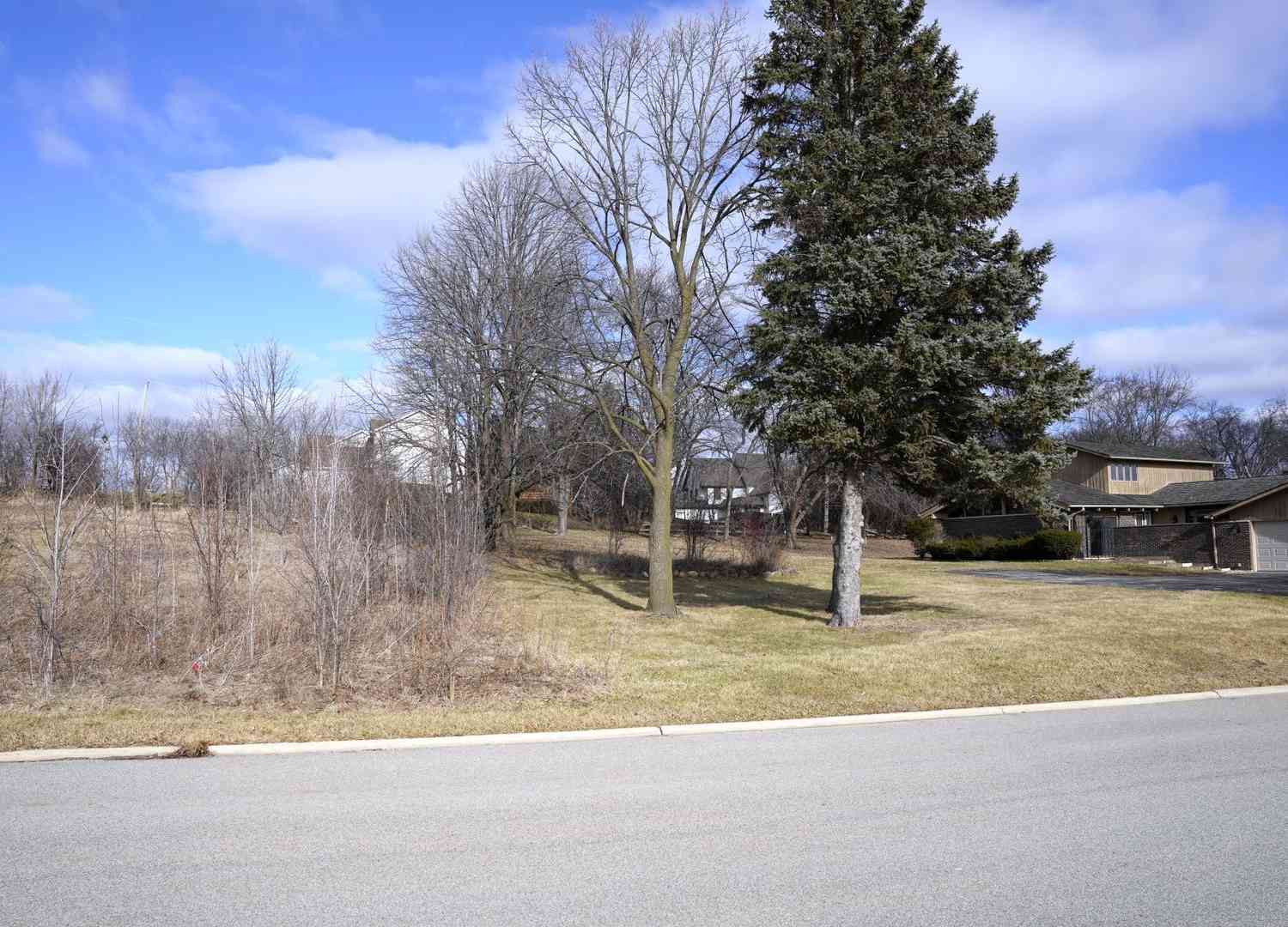 Vacant Land For Sale - 264 Crozier Drive<br/> Grayslake, IL 60030