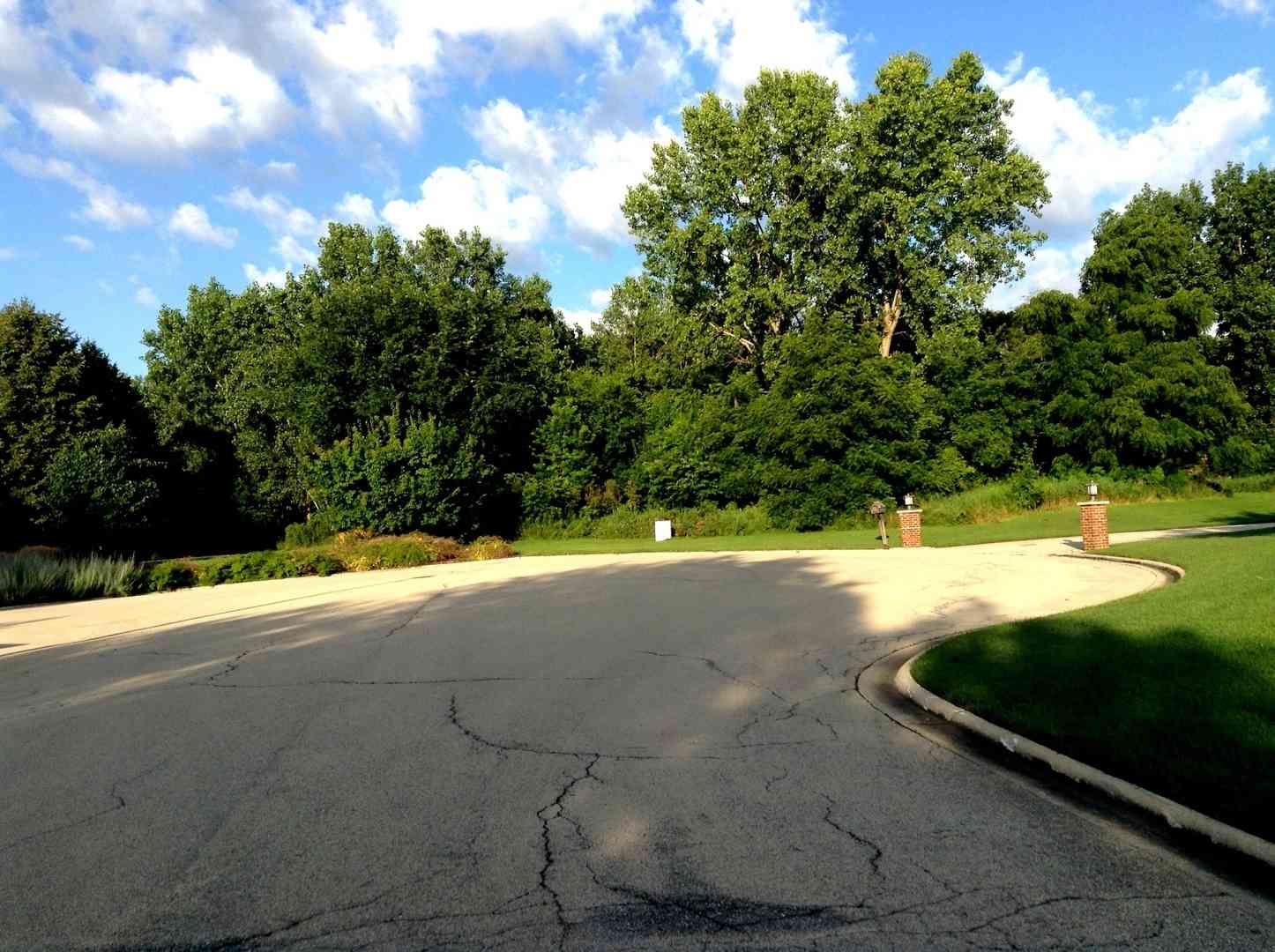 Vacant Land For Sale - 15450 W Purley Court<br/> Homer Glen, IL 60491