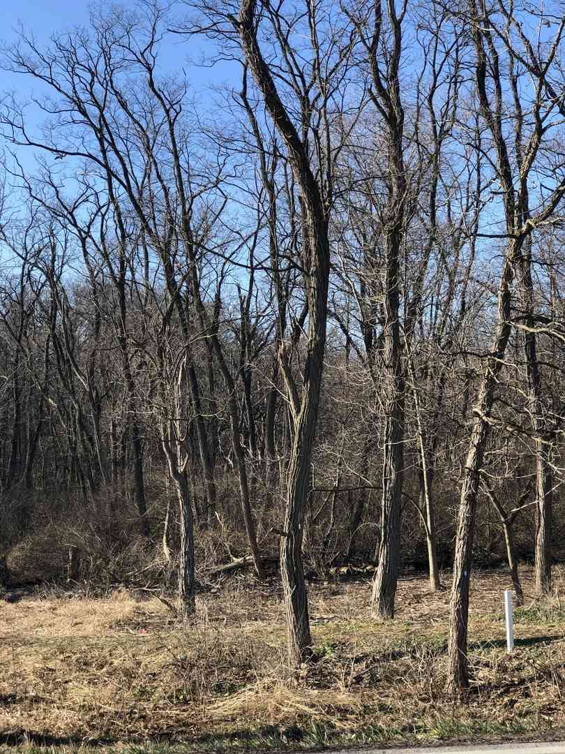 Vacant Land For Sale - 12940 HADLEY #3 Hadley Road<br/> Homer Glen, IL 60491