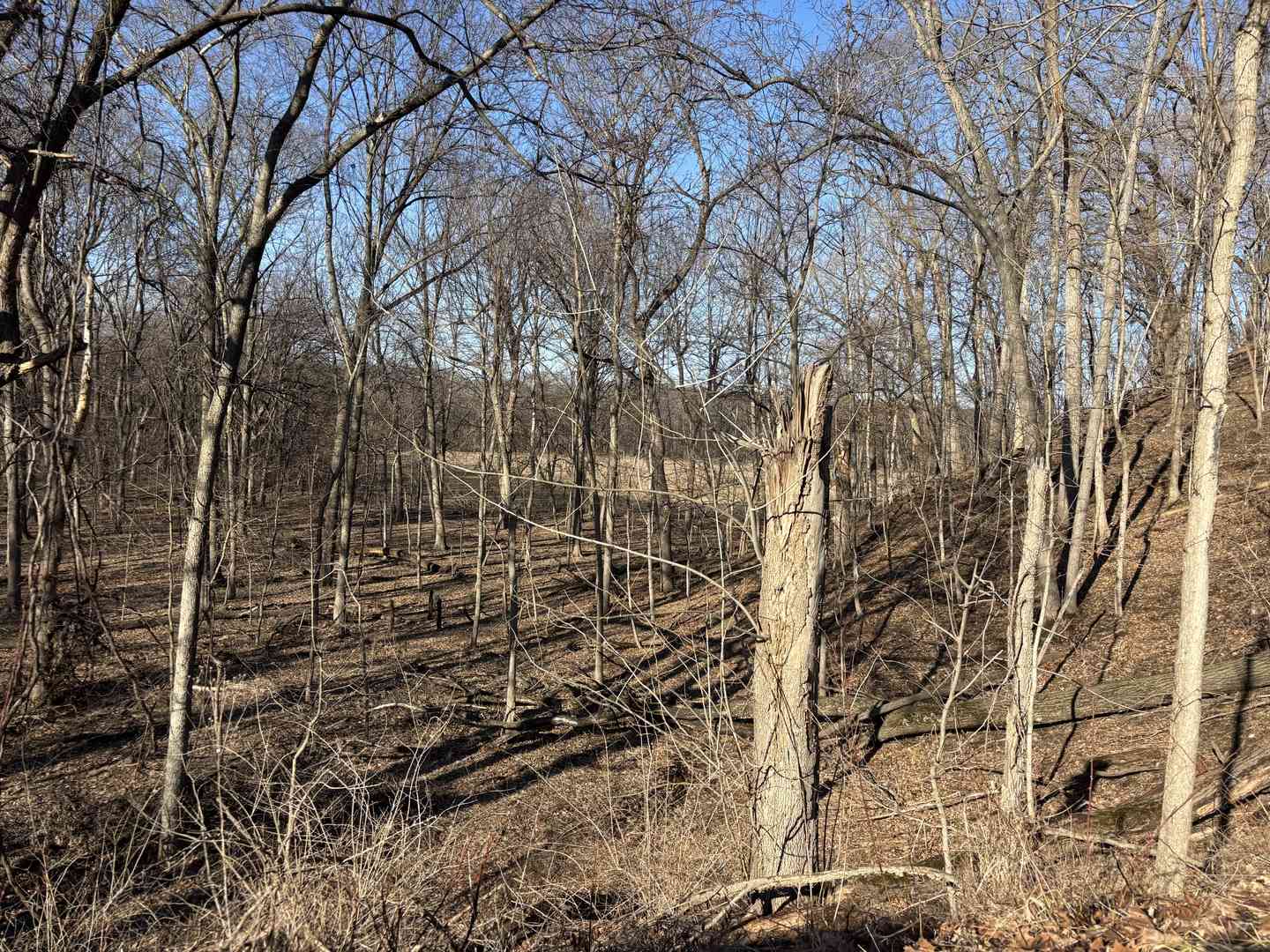 Vacant Land For Sale - 1784 Tanglewood Drive<br/> Varna, IL 61375