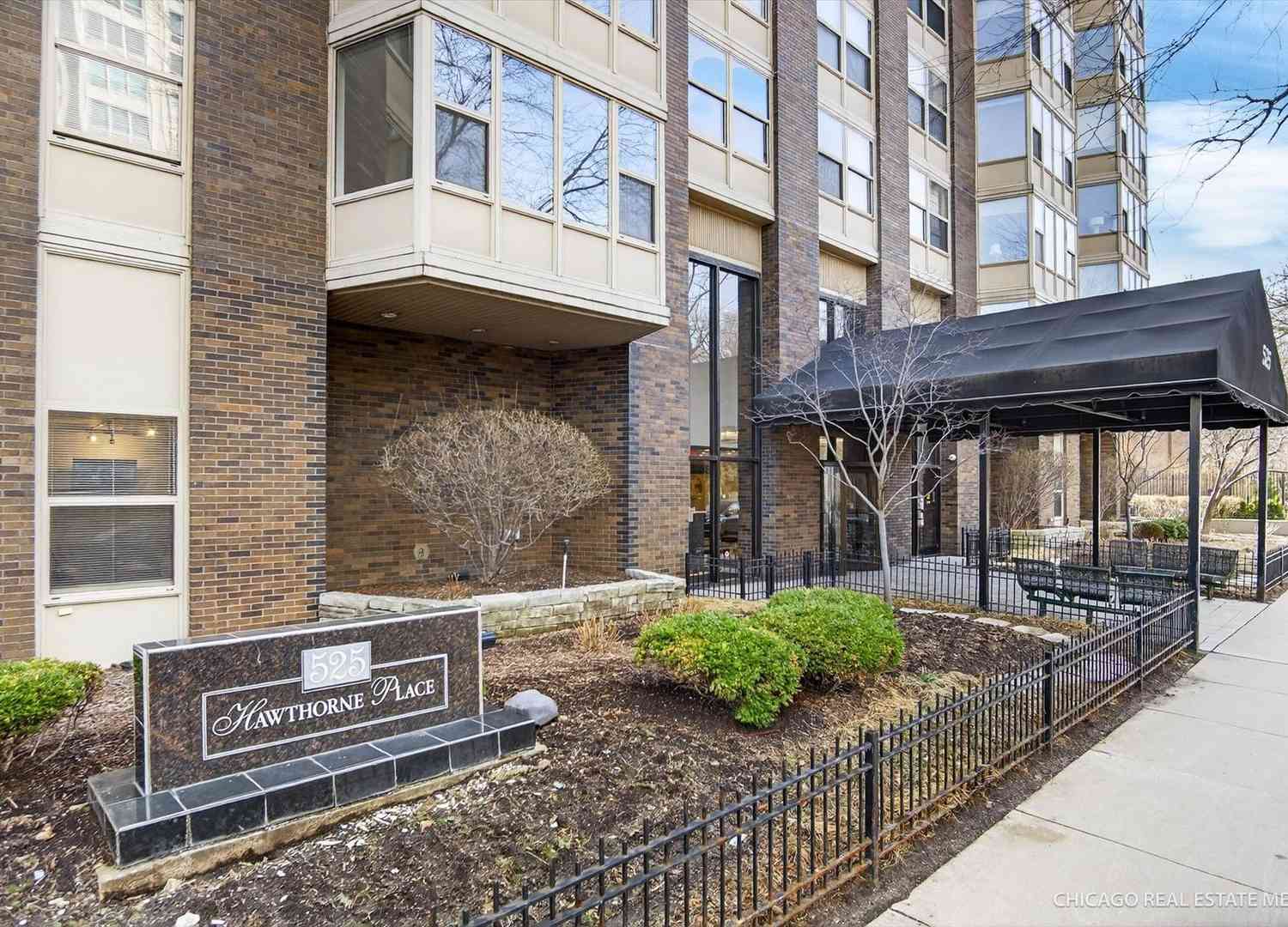 Homes For Sale - 525 W Hawthorne Place #1001<br/> Chicago, IL 60657