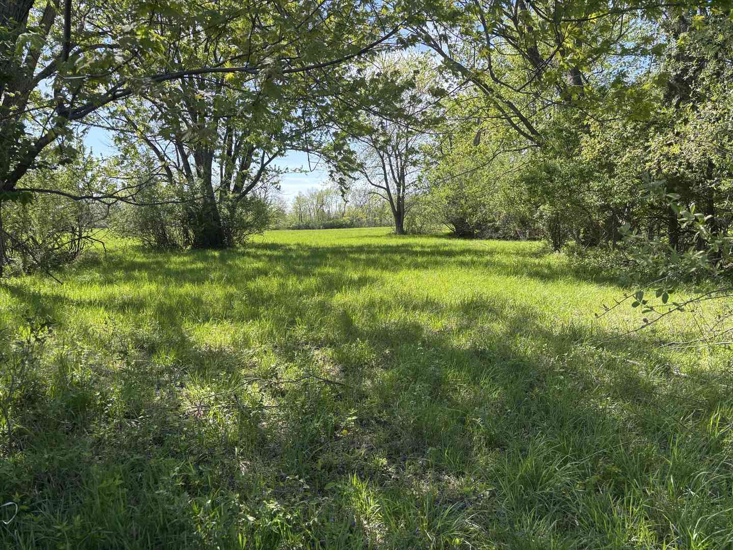 Vacant Land For Sale - 650 Lake Wildwood Drive<br/> Varna, IL 61375