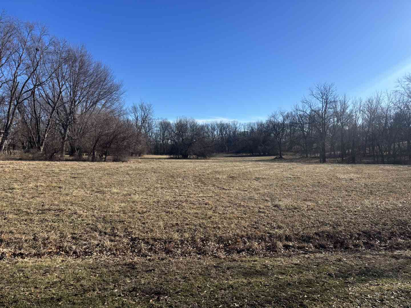 Vacant Land For Sale - LOT 1473/1474 Chevy Chase Drive<br/> Varna, IL 61375
