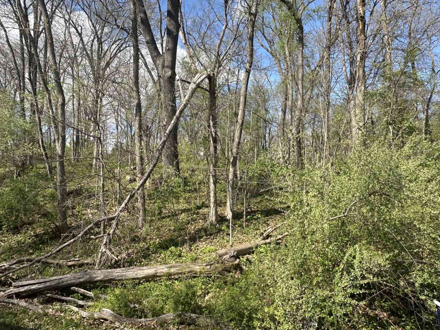 Vacant Land For Sale - Lake Thunderbird Hills<br/> Putnam, IL 61560
