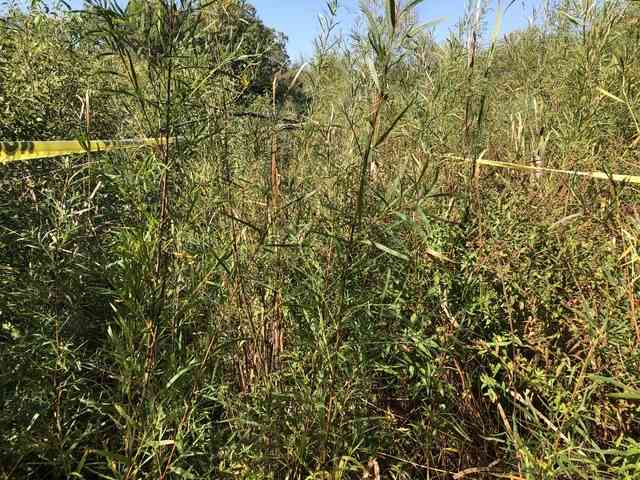Vacant Land For Sale - 14 Alexandra Drive<br/> Mettawa, IL 60048