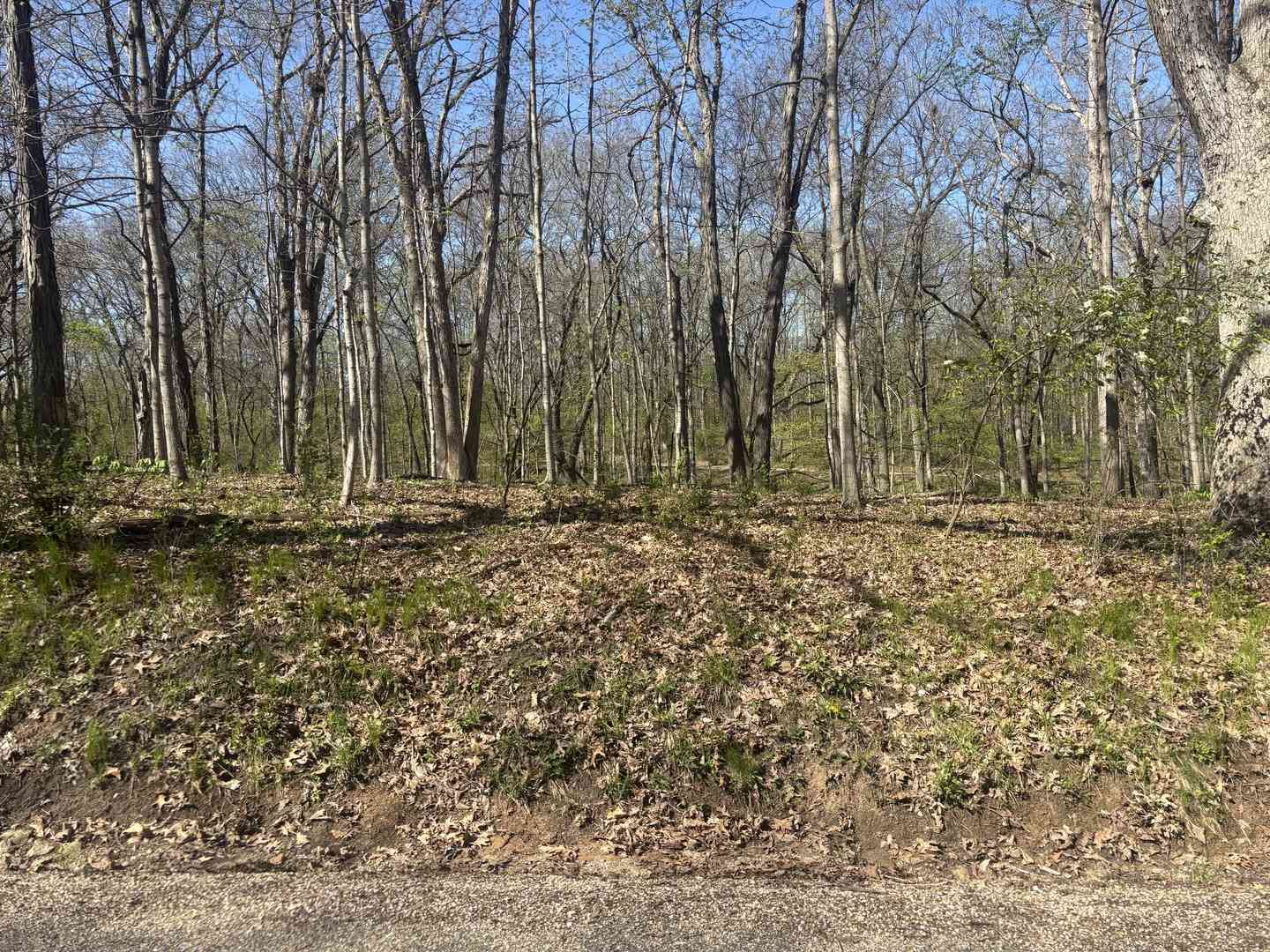 Vacant Land For Sale - 1618 Tanglewood Drive<br/> Varna, IL 61375