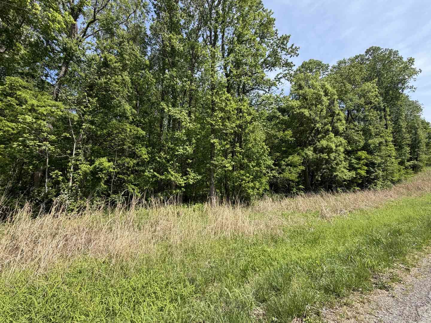 Vacant Land For Sale - 0000 Tower Rock Road<br/> Hardin County, Elizabethtown, IL 62931