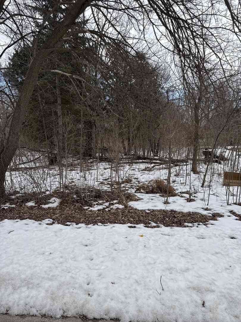Vacant Land For Sale - 1601 Faithorn Avenue<br/> Crete, IL 60417
